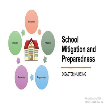Comprehensive Disaster Risk Reduction and Management Framework in ...