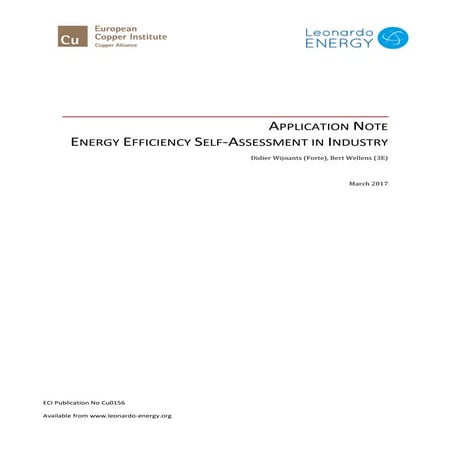 Energy efficiency self assessment in industry | PDF
