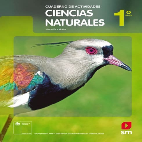 Cuaderno de fichas Ciencia y Tecnología. Primer grado.pdf