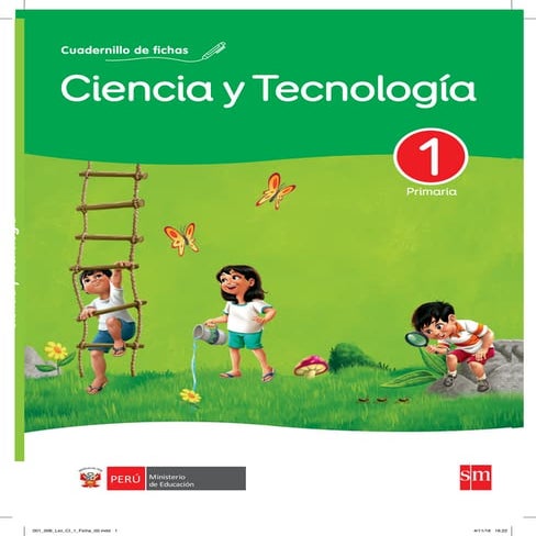Cuaderno de fichas Ciencia y Tecnología. Primer grado.pdf