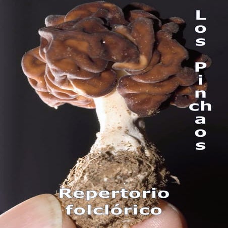 Cuaderno de repertorio folclórico