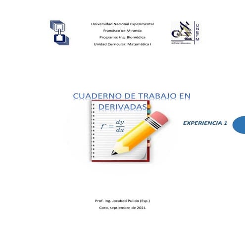 Cuaderno de trabajo derivadas experiencia 1