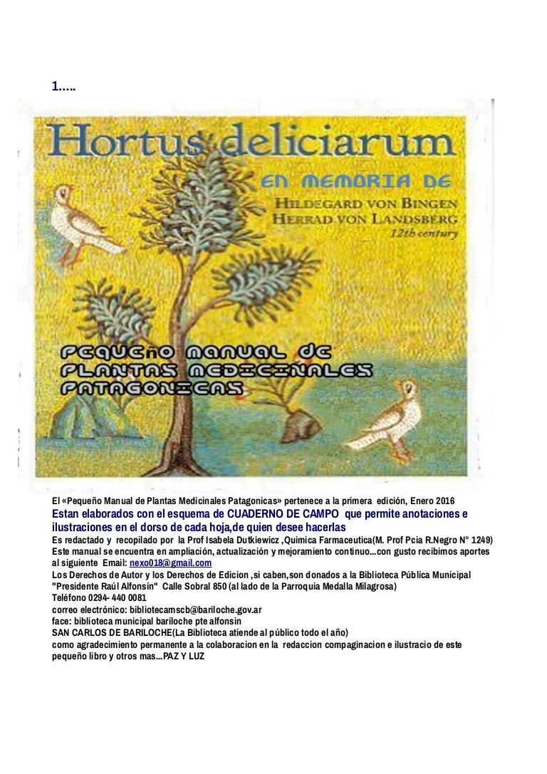 hierbas vasoconstrictoras para la diabetes