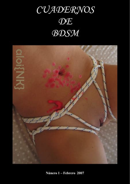 Cuadernos BDSM 1