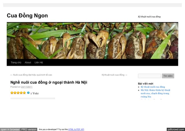 Cuadongngon nghe-nuoi-cua-dong-o-ng...