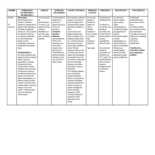 otras bacterias de interés médico