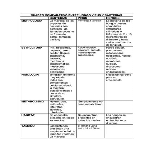 Cuadro comparativo entre hongo virus y bacterias