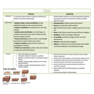 Cuadro comparativo tejidos