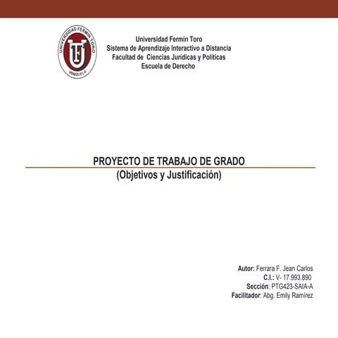 Cuadro explicativo (objetivos y justificación) 