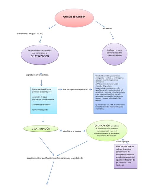 Cuadro gelatinizacion para resumen