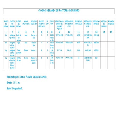 Cuadro resumen de factores de riesgo