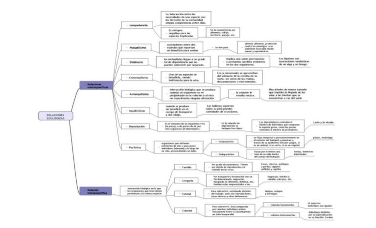 Cuadro sinoptico word