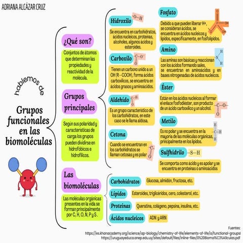 Grupos funcionales de las biomoleculas | PDF