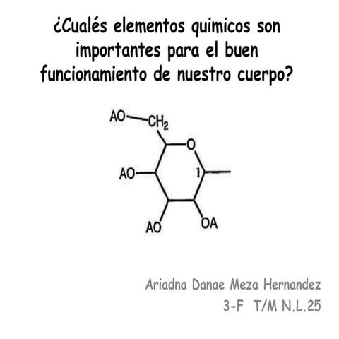 Cuales elementos quimicos son importantes para el cuerpo humano | PPTX