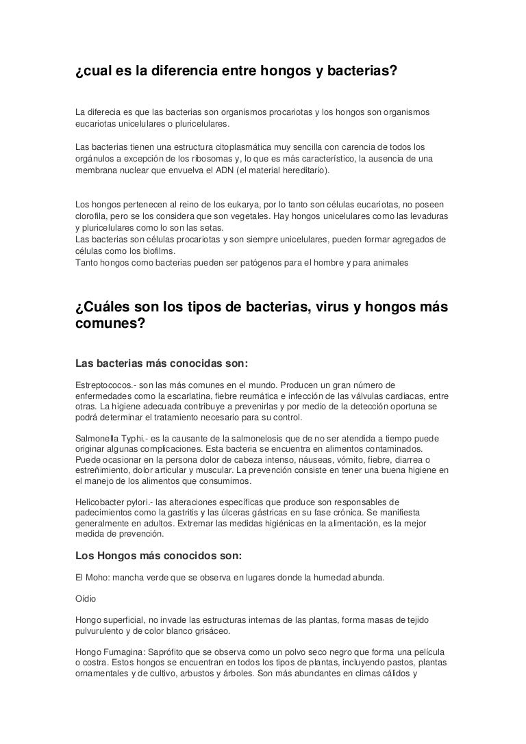 hongos y bacterias semejanzas