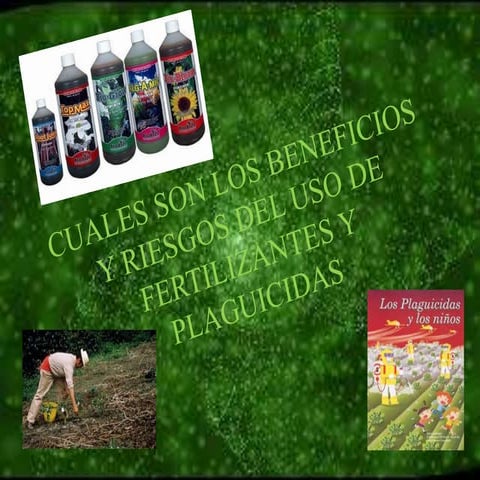 Cuales son los beneficios y riesgos del uso de plaguicidas | PPTX
