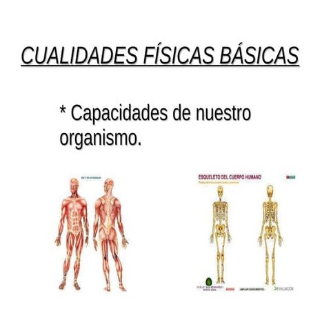 Cualidades físicas básicas