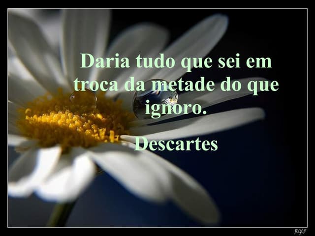Quando