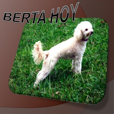 Cuando BERTA fue al colegio