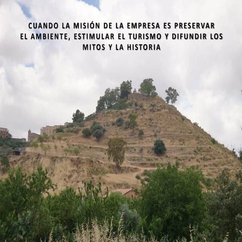 Cuando la misión de la empresa es preservar