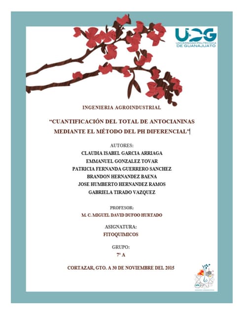 Cuantificación del total de antocia...