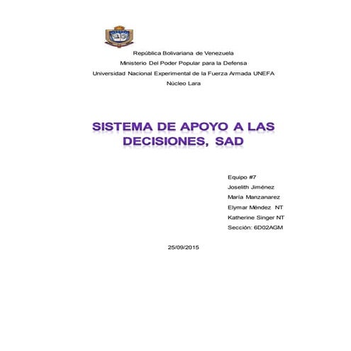 Sistema de apoyo a las decisiones, SAD