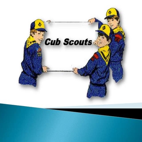 Cub Scouts