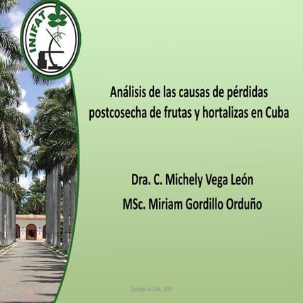 Cuba michely vega
