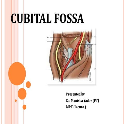 CUBITAL FOSSA.pptx