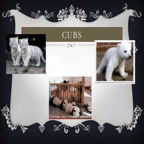 Cubs book 1 lesson 1 | PPTX