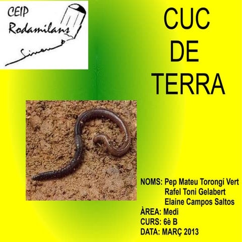Cuc de terra