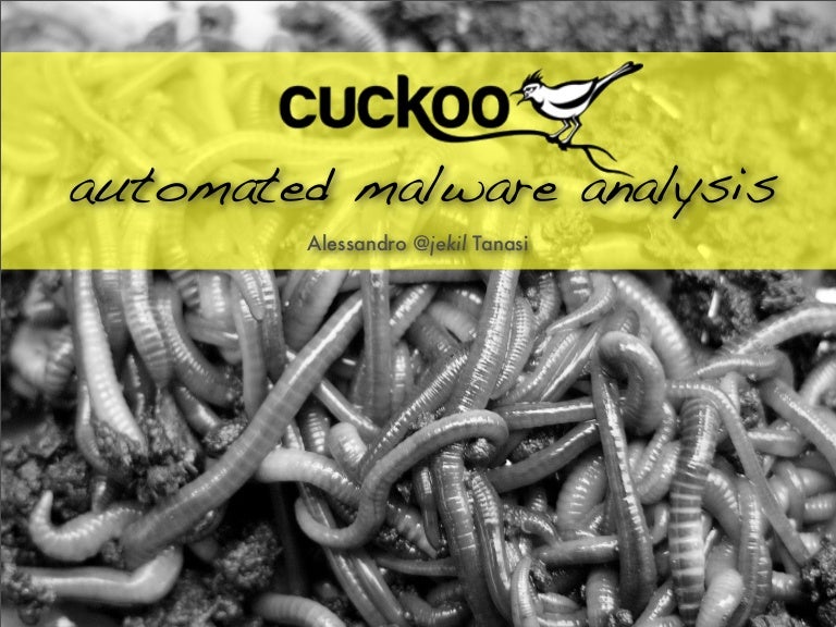 Cuckoo Sandbox Automated Malware Analysis