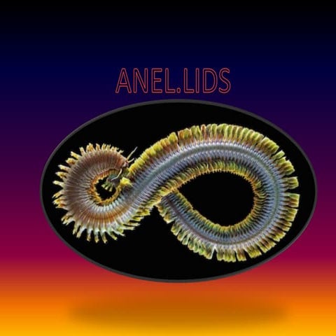 ANEL.LIDS