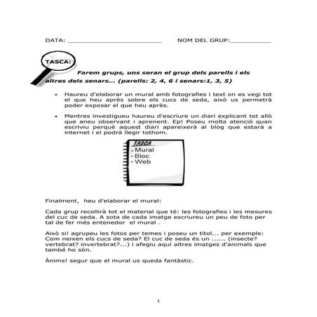 Cucs de seda fitxa de treball