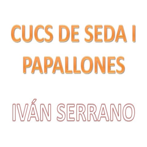 Cucs de Seda i Papallones