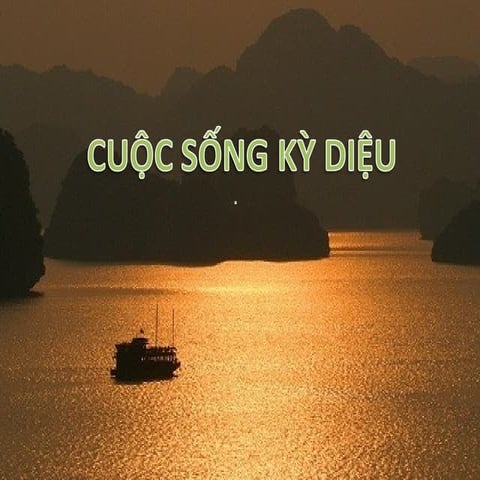 Cuộc sống kỳ diệu