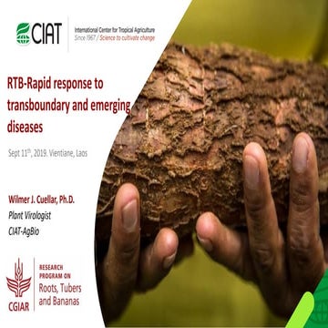 RTB Rapid response to transboundary and emerging diseases