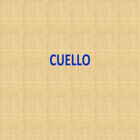 Cuello