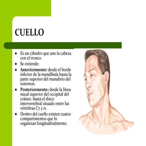 Cuello 9 Hugo