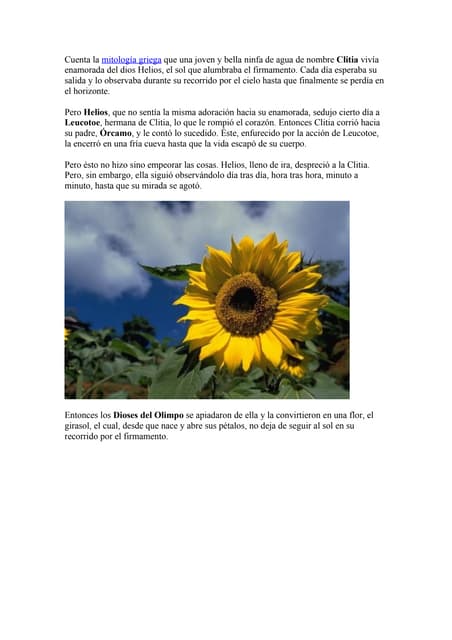 Cuenta La MitologíA Griega Que Una Joven Y Bella Ninfa De Agua De Nombre  Clitia VivíA Enamorada Del Dios  Helios