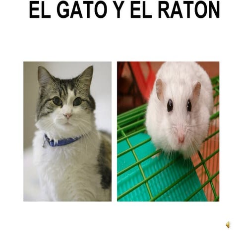 Cuento El Gato Y El Raton.