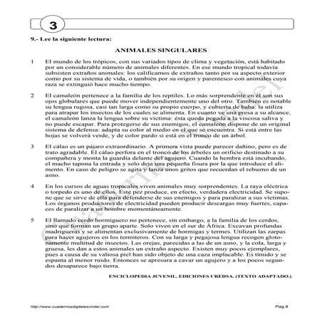 Cuento Animales singulares