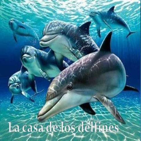Cuento sobre delfines