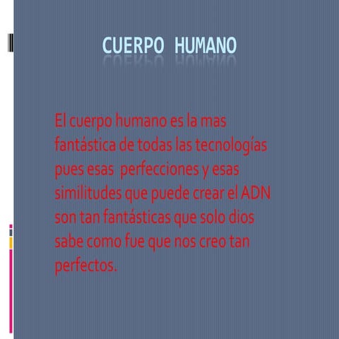 Cuerpo humano