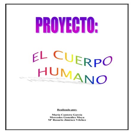 Cuerpo humano