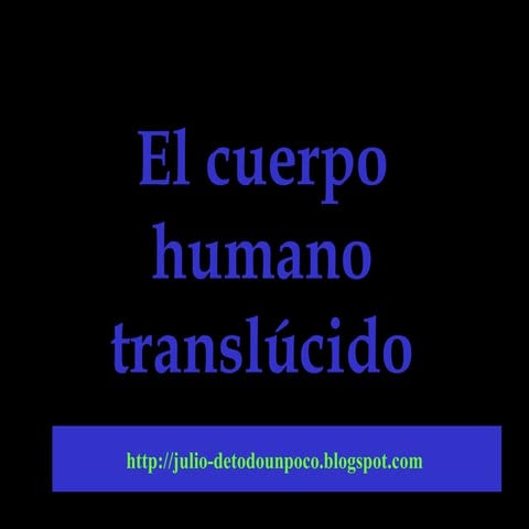 Cuerpo Humano Translúcido
