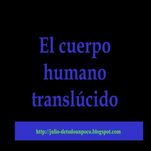 Cuerpo Humano Translúcido
