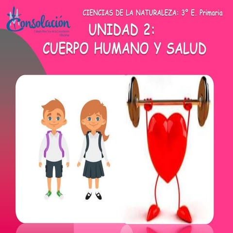 Cuerpo humano y salud. unidad 2. 2019 2020