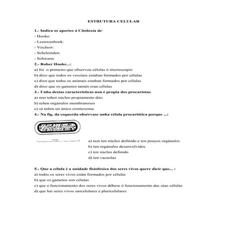 Cuestións organización celular