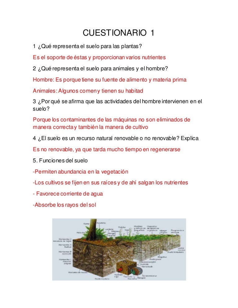 Cuestionario 1 (suelo)